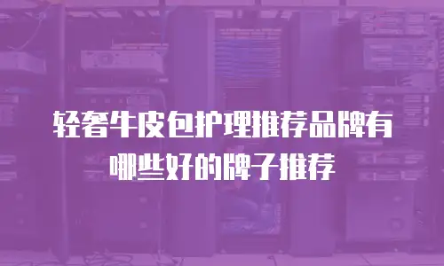 轻奢牛皮包护理推荐品牌有哪些好的牌子推荐
