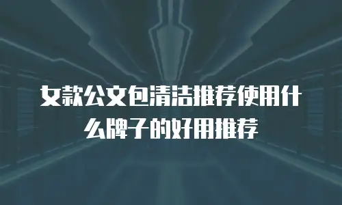 女款公文包清洁推荐使用什么牌子的好用推荐