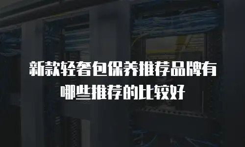 新款轻奢包保养推荐品牌有哪些推荐的比较好