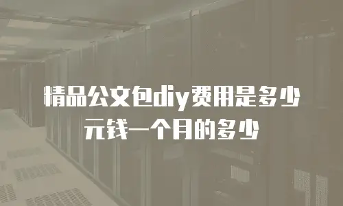 精品公文包diy费用是多少元钱一个月的多少