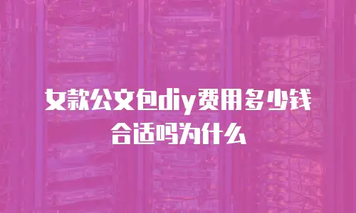 女款公文包diy费用多少钱合适吗为什么
