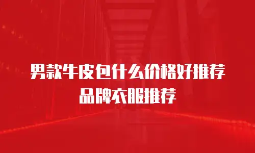 男款牛皮包什么价格好推荐品牌衣服推荐