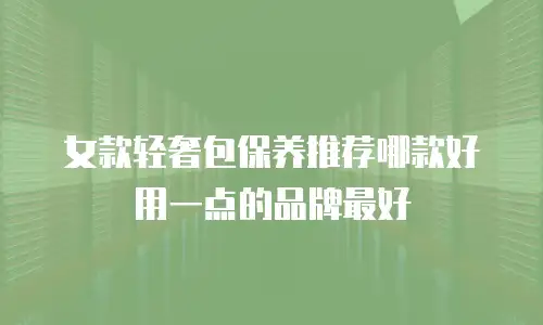 女款轻奢包保养推荐哪款好用一点的品牌最好