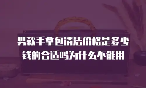 男款手拿包清洁价格是多少钱的合适吗为什么不能用