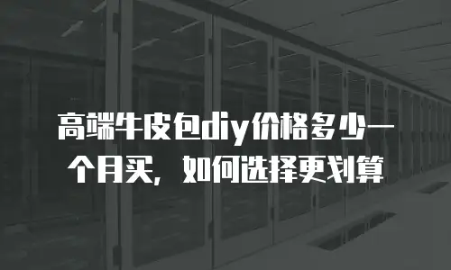 高端牛皮包diy价格多少一个月买，如何选择更划算