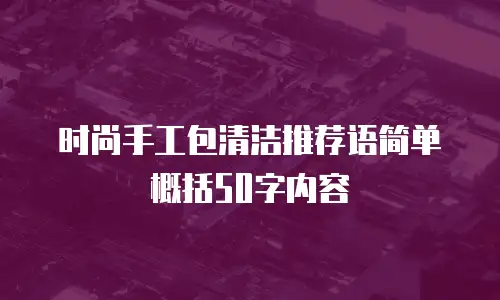 时尚手工包清洁推荐语简单概括50字内容