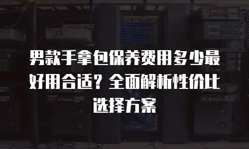男款手拿包保养费用多少最好用合适？全面解析性价比选择方案
