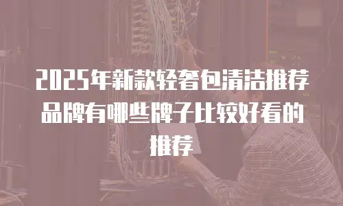 2025年新款轻奢包清洁推荐品牌有哪些牌子比较好看的推荐