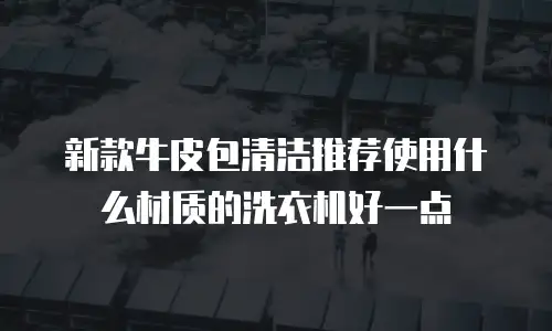 新款牛皮包清洁推荐使用什么材质的洗衣机好一点