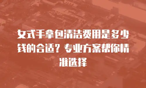 女式手拿包清洁费用是多少钱的合适？专业方案帮你精准选择