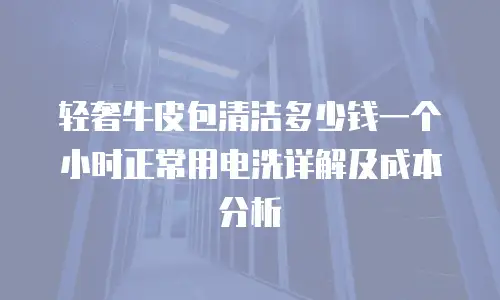 轻奢牛皮包清洁多少钱一个小时正常用电洗详解及成本分析