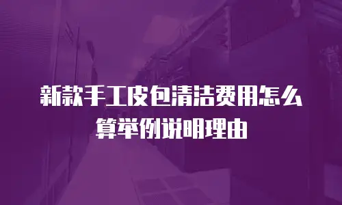 新款手工皮包清洁费用怎么算举例说明理由