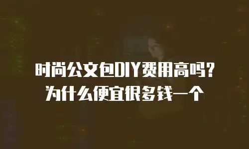 时尚公文包DIY费用高吗？为什么便宜很多钱一个