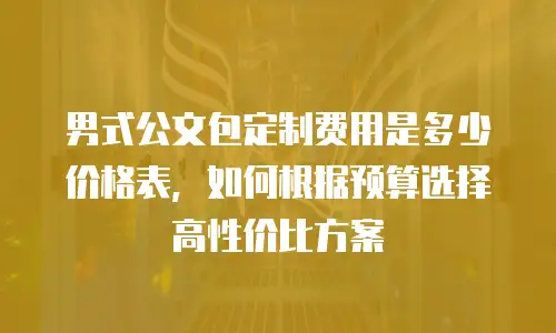 男式公文包定制费用是多少价格表，如何根据预算选择高性价比方案