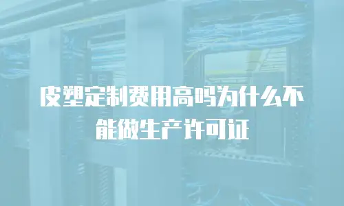 皮塑定制费用高吗为什么不能做生产许可证