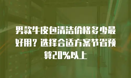 男款牛皮包清洁价格多少最好用？选择合适方案节省预算20%以上