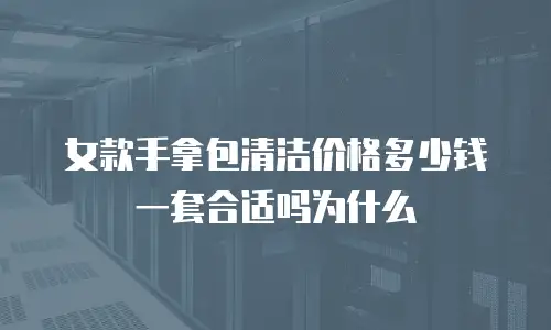 女款手拿包清洁价格多少钱一套合适吗为什么