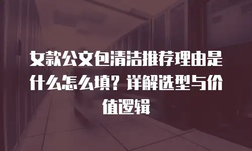 女款公文包清洁推荐理由是什么怎么填？详解选型与价值逻辑