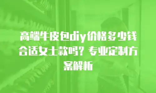 高端牛皮包diy价格多少钱合适女士款吗？专业定制方案解析