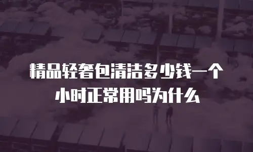 精品轻奢包清洁多少钱一个小时正常用吗为什么