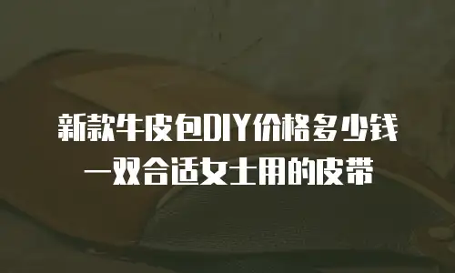 新款牛皮包DIY价格多少钱一双合适女士用的皮带