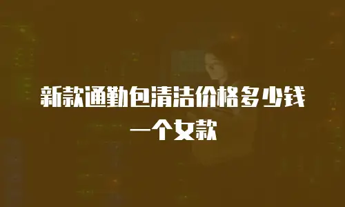 新款通勤包清洁价格多少钱一个女款