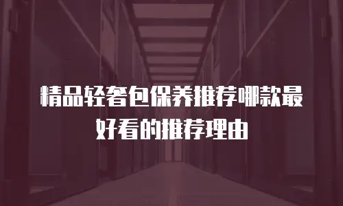 精品轻奢包保养推荐哪款最好看的推荐理由
