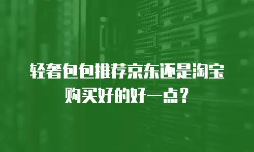 轻奢包包推荐京东还是淘宝购买好的好一点？