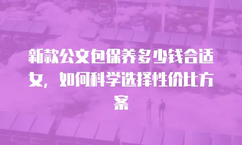 新款公文包保养多少钱合适女，如何科学选择性价比方案