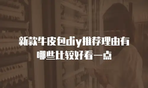 新款牛皮包diy推荐理由有哪些比较好看一点