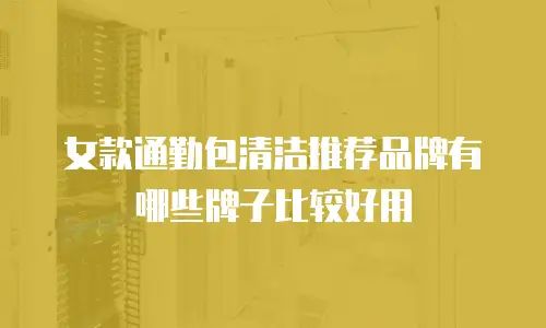 女款通勤包清洁推荐品牌有哪些牌子比较好用