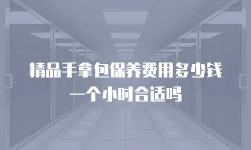 精品手拿包保养费用多少钱一个小时合适吗