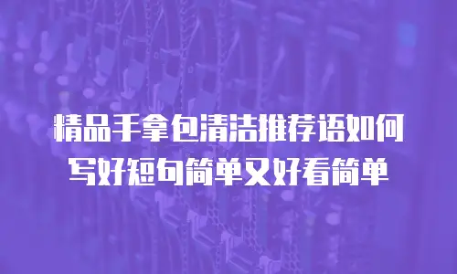 精品手拿包清洁推荐语如何写好短句简单又好看简单