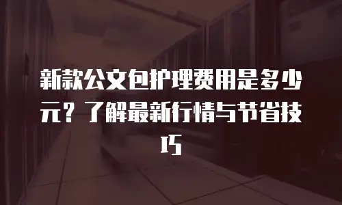 新款公文包护理费用是多少元？了解最新行情与节省技巧