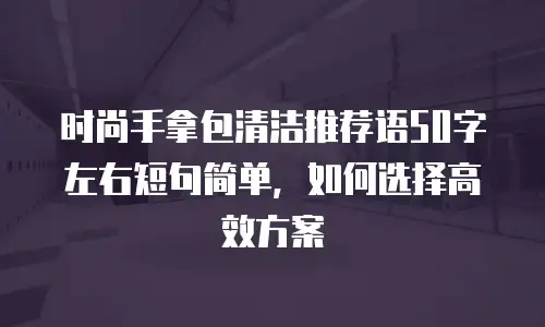 时尚手拿包清洁推荐语50字左右短句简单，如何选择高效方案