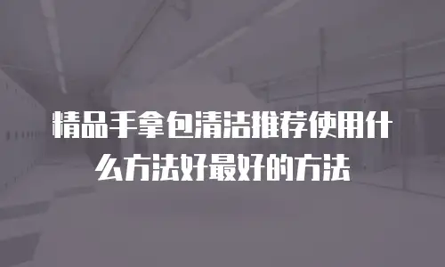 精品手拿包清洁推荐使用什么方法好最好的方法