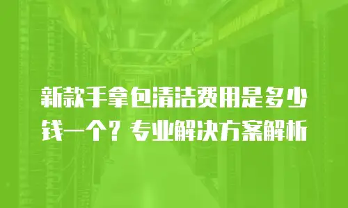 新款手拿包清洁费用是多少钱一个？专业解决方案解析