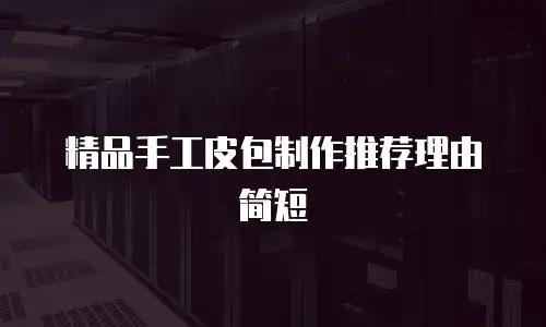 精品手工皮包制作推荐理由简短