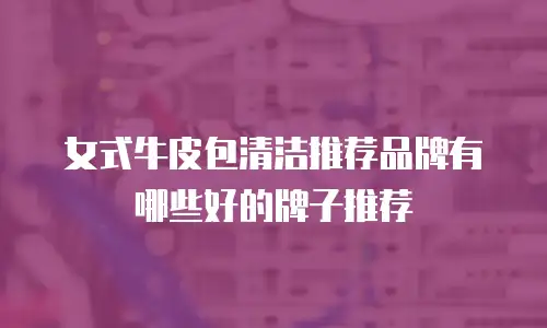 女式牛皮包清洁推荐品牌有哪些好的牌子推荐