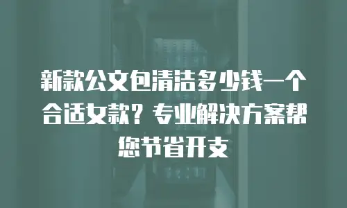 新款公文包清洁多少钱一个合适女款？专业解决方案帮您节省开支