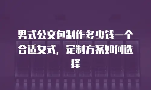 男式公文包制作多少钱一个合适女式，定制方案如何选择