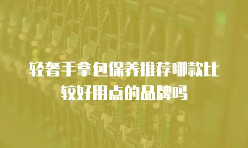 轻奢手拿包保养推荐哪款比较好用点的品牌吗