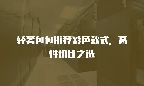 轻奢包包推荐彩色款式，高性价比之选