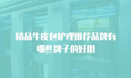 精品牛皮包护理推荐品牌有哪些牌子的好用