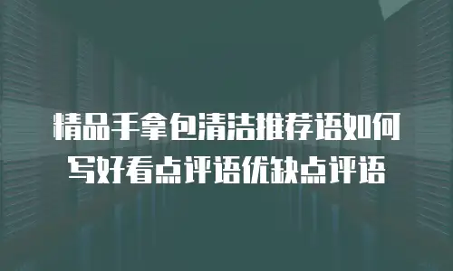 精品手拿包清洁推荐语如何写好看点评语优缺点评语