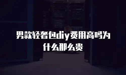 男款轻奢包diy费用高吗为什么那么贵