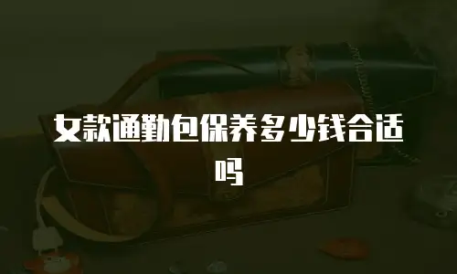 女款通勤包保养多少钱合适吗