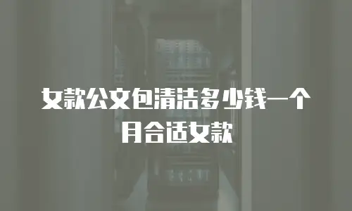 女款公文包清洁多少钱一个月合适女款