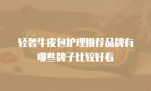 轻奢牛皮包护理推荐品牌有哪些牌子比较好看