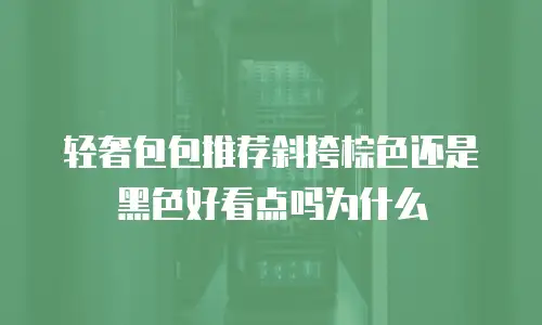 轻奢包包推荐斜挎棕色还是黑色好看点吗为什么